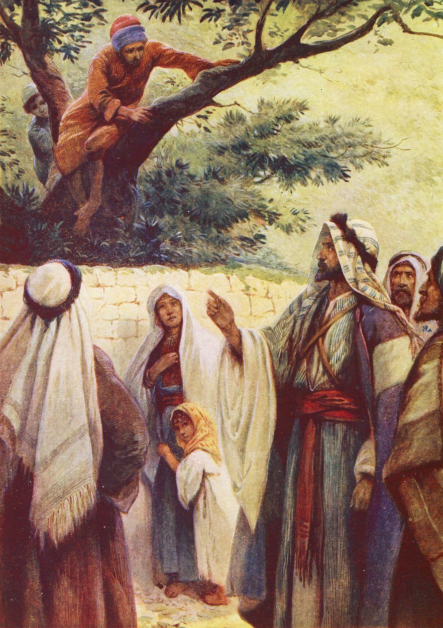 Zacchaeus Bible Story for Kids illustration